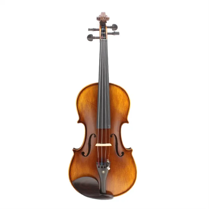 Maple Wood Head Carnatic Solid Violin Study